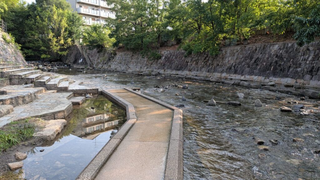 面西公園内 親水公園 全景
